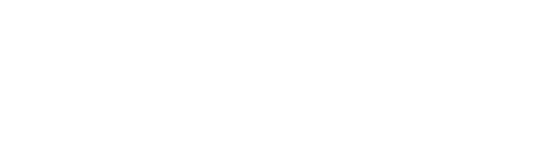 iRonTrust Insurance